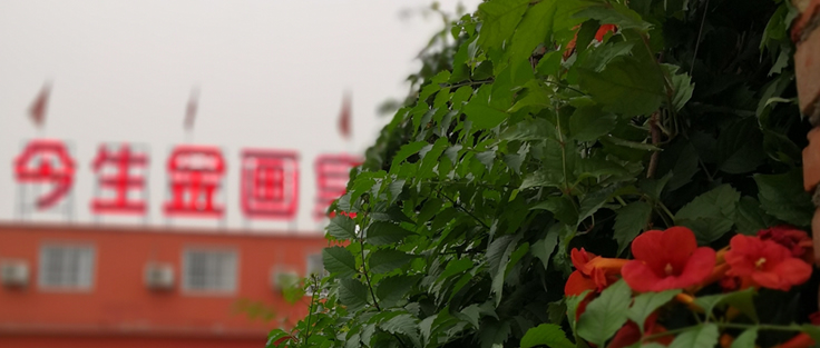 攻補(bǔ)兼施，標(biāo)本同治—舒心口服液